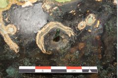 Foto von Bronzehelmbesatzscheibe (NHMW-PRAE-026082)